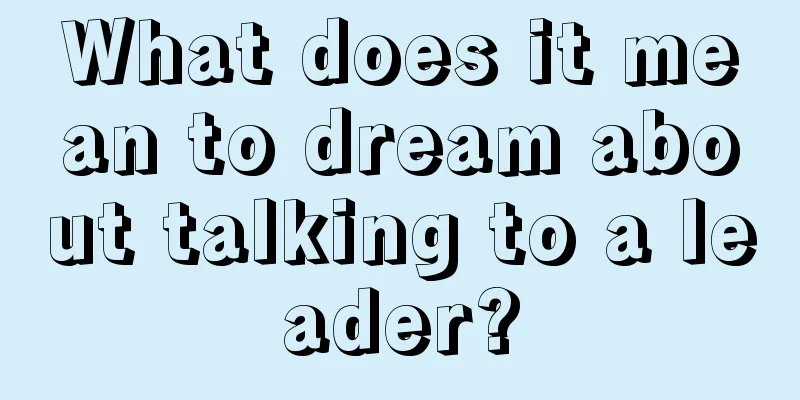 What does it mean to dream about talking to a leader?