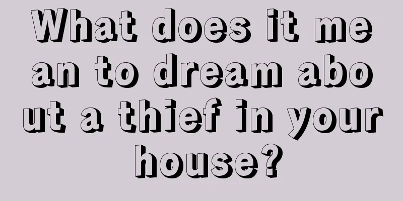 What does it mean to dream about a thief in your house?