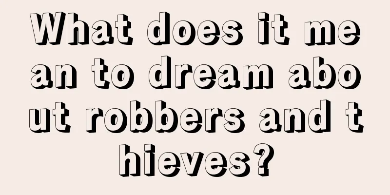 What does it mean to dream about robbers and thieves?