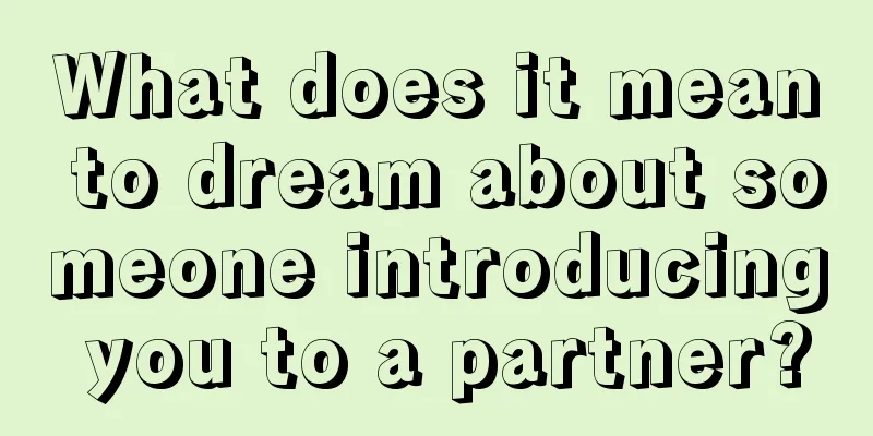 What does it mean to dream about someone introducing you to a partner?