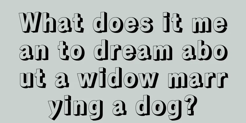 What does it mean to dream about a widow marrying a dog?