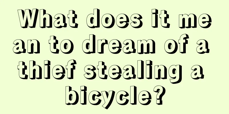 What does it mean to dream of a thief stealing a bicycle?