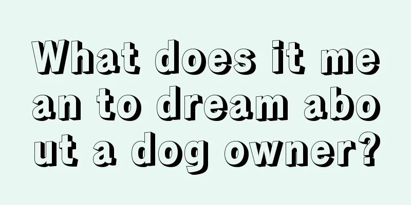 What does it mean to dream about a dog owner?