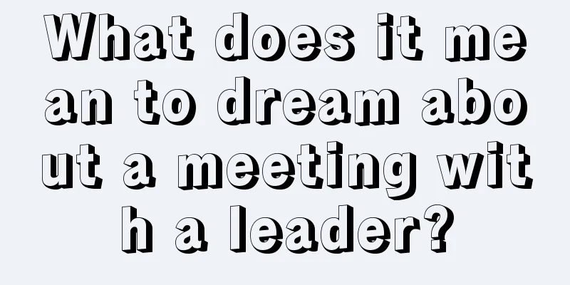 What does it mean to dream about a meeting with a leader?