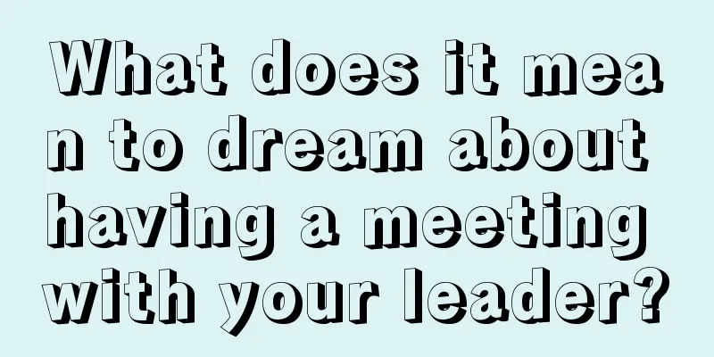 What does it mean to dream about having a meeting with your leader?