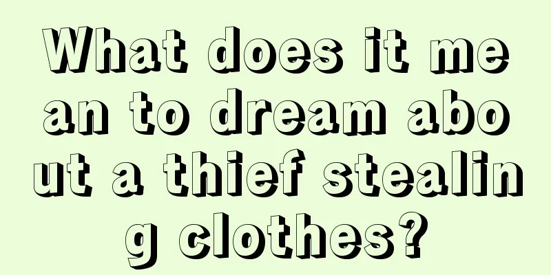 What does it mean to dream about a thief stealing clothes?