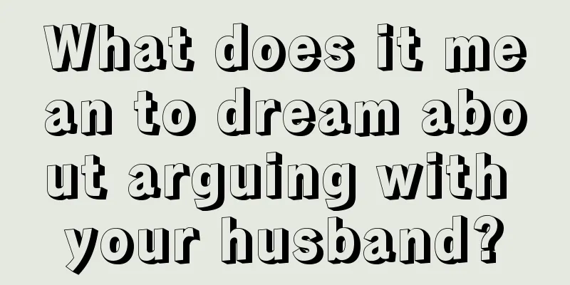 What does it mean to dream about arguing with your husband?