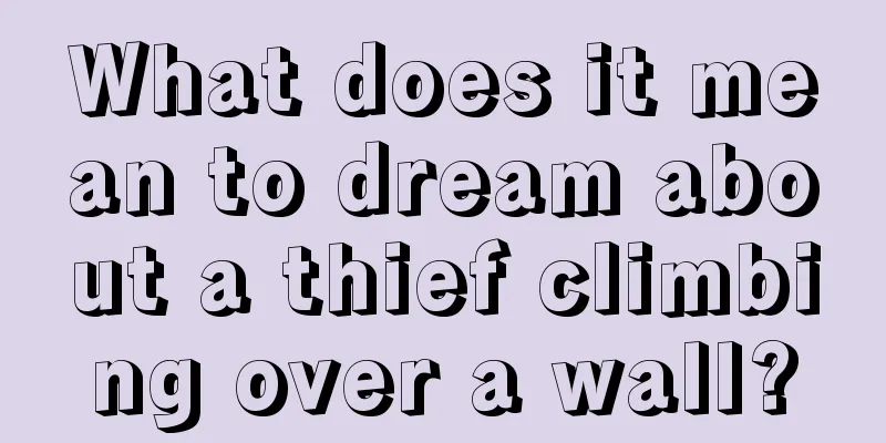 What does it mean to dream about a thief climbing over a wall?