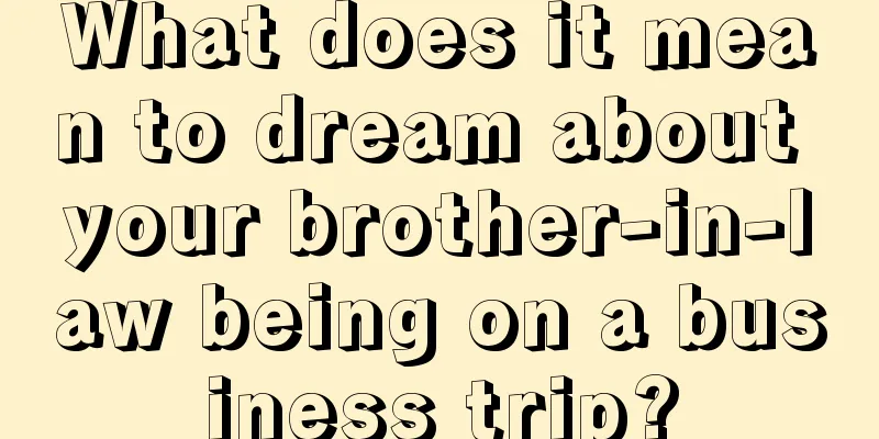 What does it mean to dream about your brother-in-law being on a business trip?