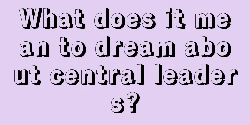 What does it mean to dream about central leaders?