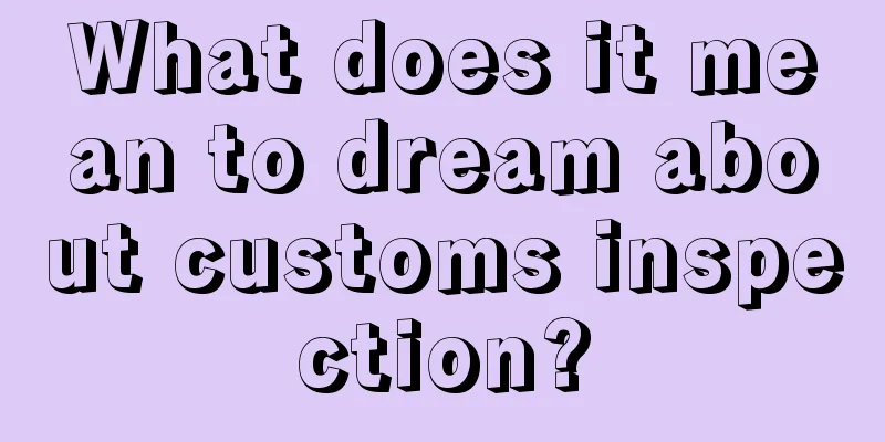 What does it mean to dream about customs inspection?