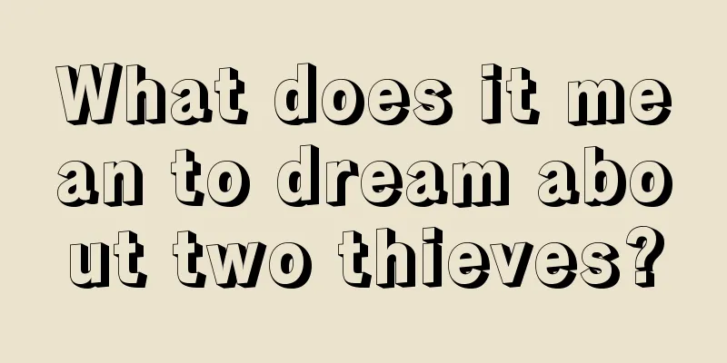 What does it mean to dream about two thieves?