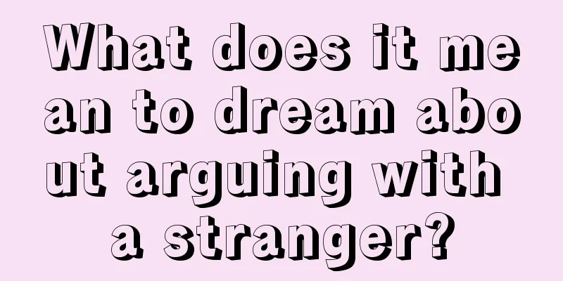 What does it mean to dream about arguing with a stranger?