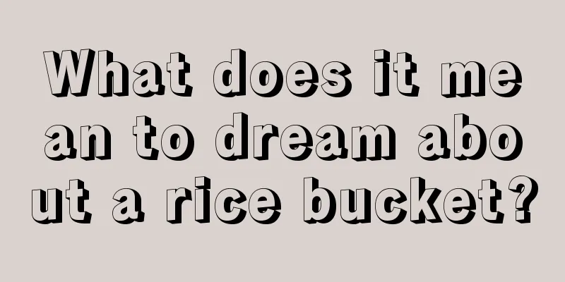 What does it mean to dream about a rice bucket?