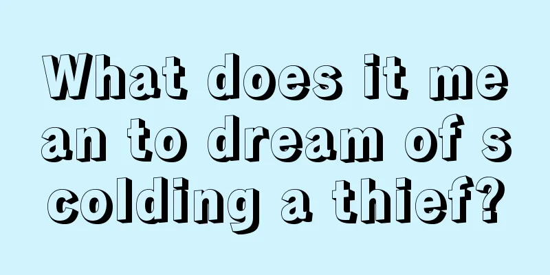 What does it mean to dream of scolding a thief?