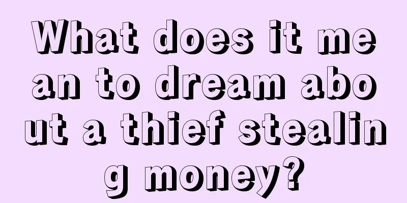 What does it mean to dream about a thief stealing money?