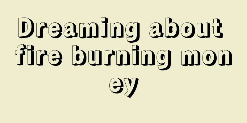 Dreaming about fire burning money