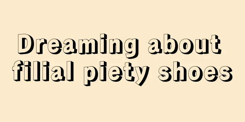 Dreaming about filial piety shoes