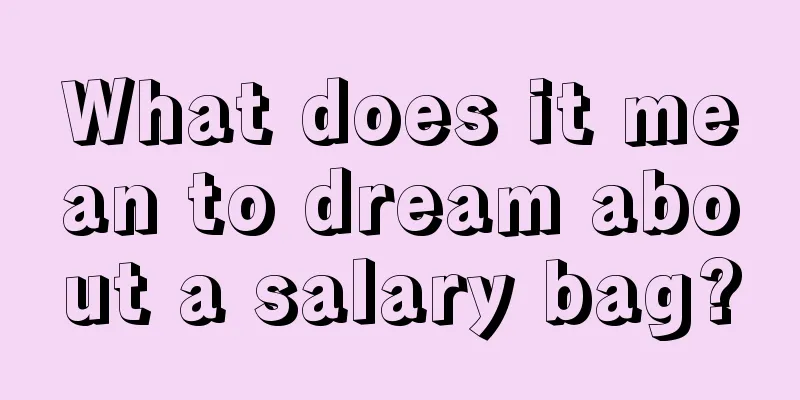 What does it mean to dream about a salary bag?