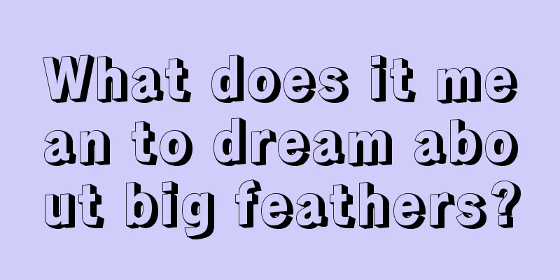 What does it mean to dream about big feathers?