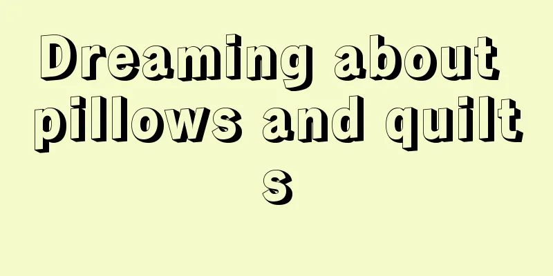 Dreaming about pillows and quilts