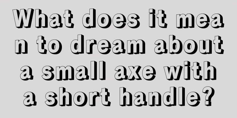 What does it mean to dream about a small axe with a short handle?