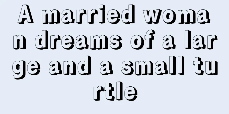 A married woman dreams of a large and a small turtle