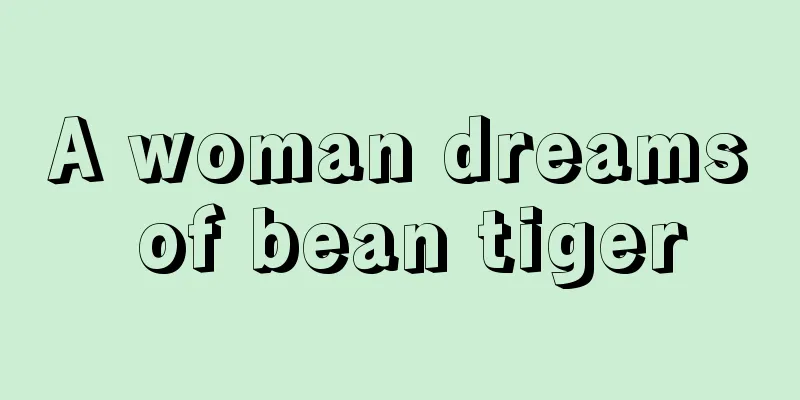 A woman dreams of bean tiger