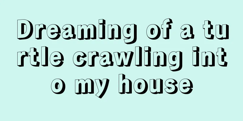 Dreaming of a turtle crawling into my house