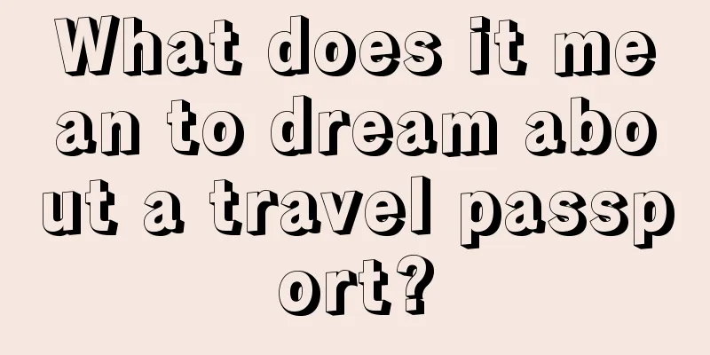 What does it mean to dream about a travel passport?