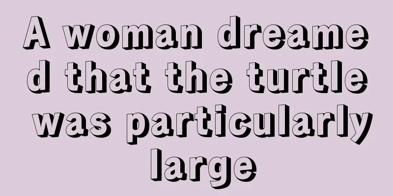 A woman dreamed that the turtle was particularly large