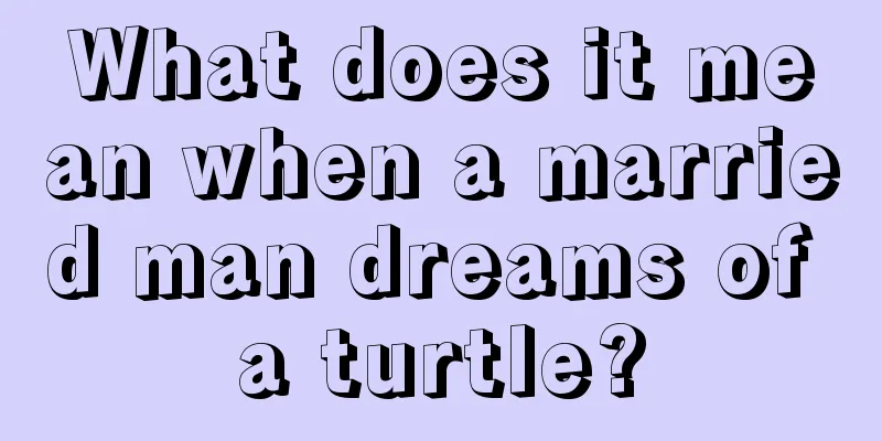 What does it mean when a married man dreams of a turtle?