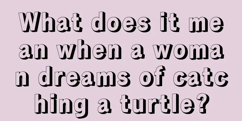 What does it mean when a woman dreams of catching a turtle?