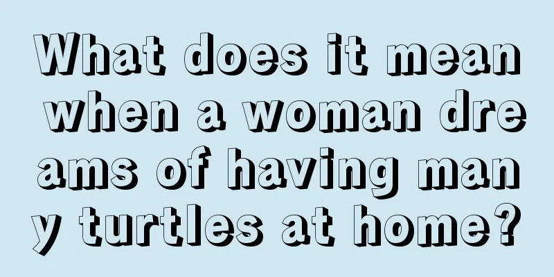 What does it mean when a woman dreams of having many turtles at home?