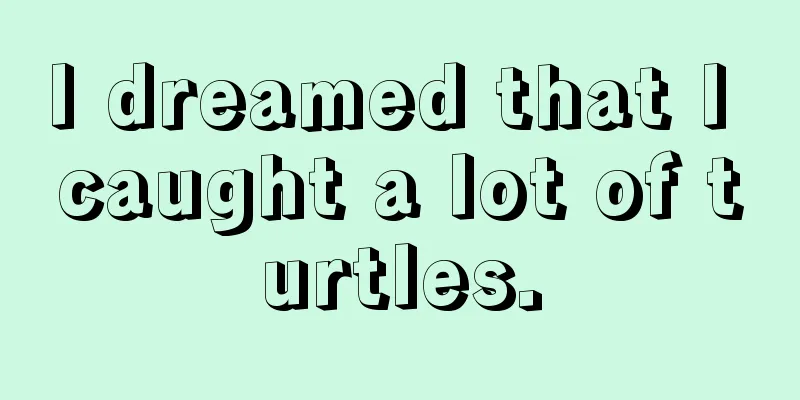 I dreamed that I caught a lot of turtles.