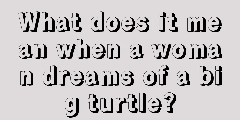 What does it mean when a woman dreams of a big turtle?