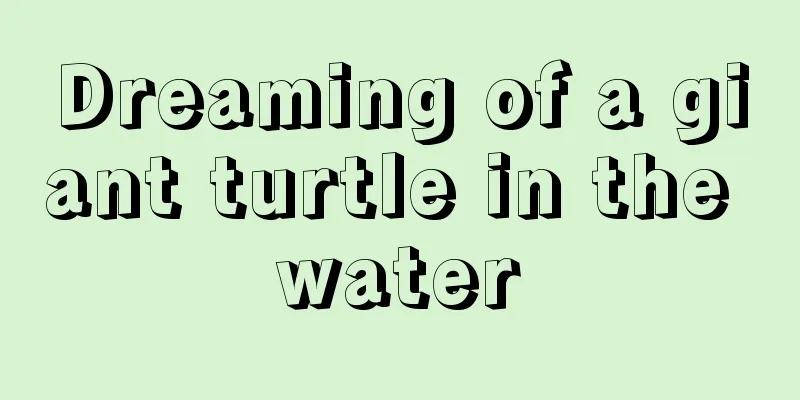 Dreaming of a giant turtle in the water