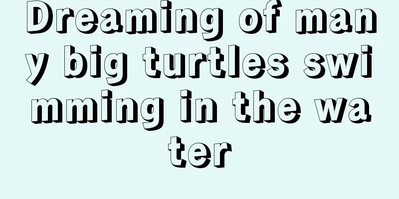 Dreaming of many big turtles swimming in the water