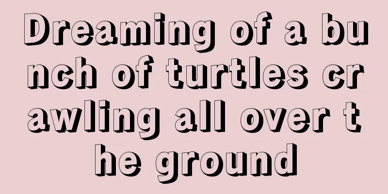 Dreaming of a bunch of turtles crawling all over the ground