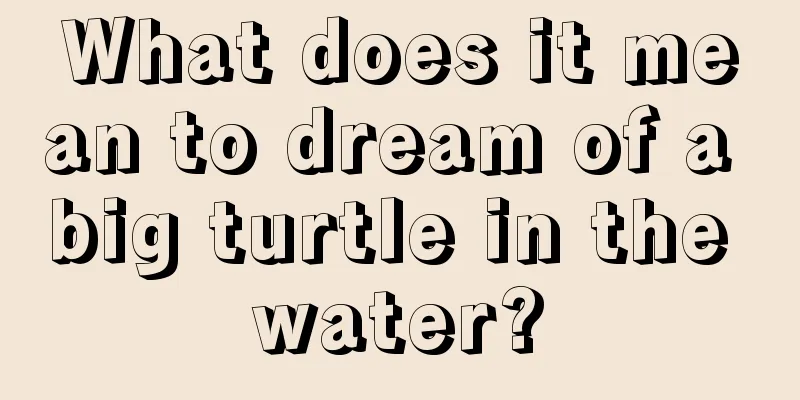 What does it mean to dream of a big turtle in the water?