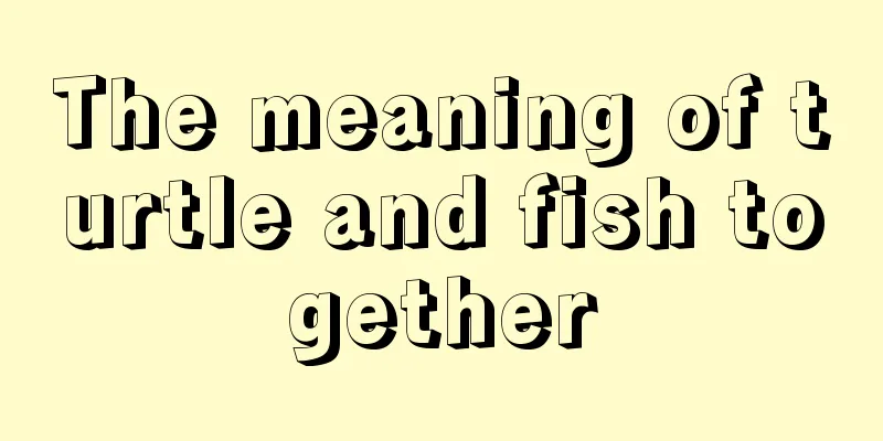 The meaning of turtle and fish together