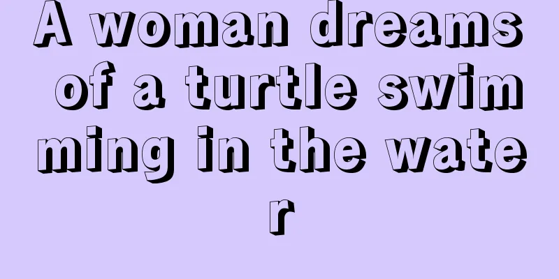 A woman dreams of a turtle swimming in the water