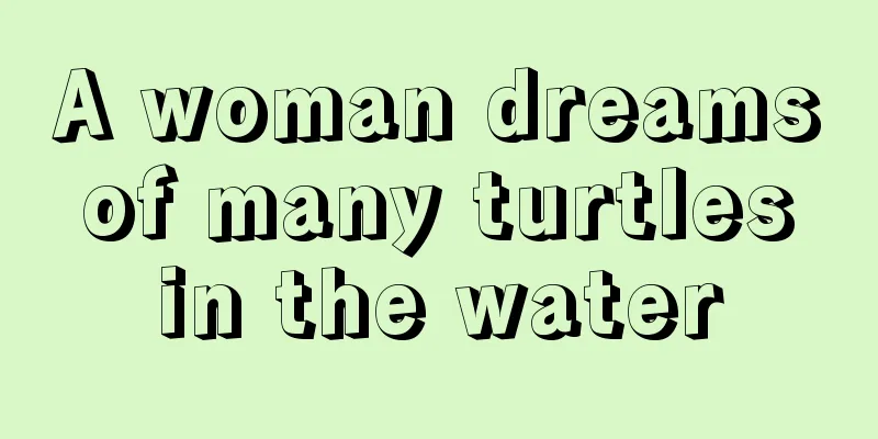 A woman dreams of many turtles in the water