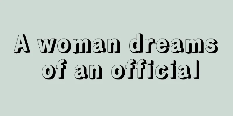 A woman dreams of an official