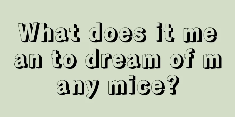 What does it mean to dream of many mice?