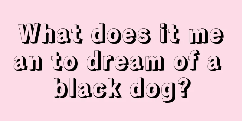 What does it mean to dream of a black dog?