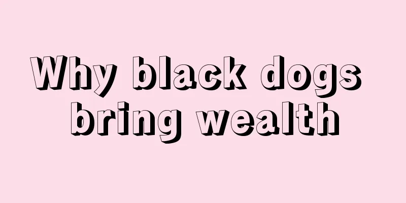 Why black dogs bring wealth