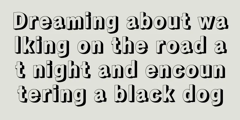 Dreaming about walking on the road at night and encountering a black dog