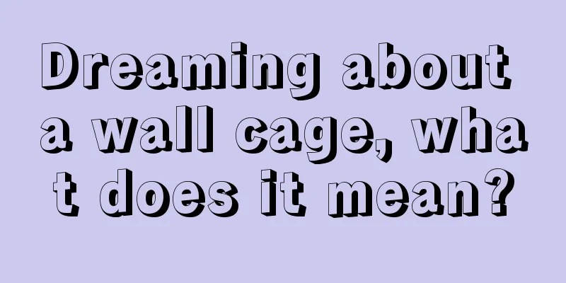 Dreaming about a wall cage, what does it mean?