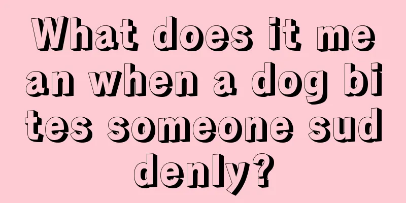 What does it mean when a dog bites someone suddenly?